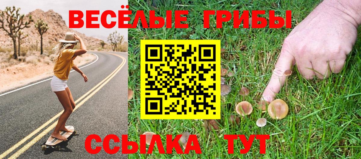 Батайск  где купить   Вход с VPN  Псилоцибиновые грибы GOLDEN TEACHER 